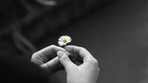 Mii de elevi învață, anual, în Harghita, cum să fie în siguranță pe munte / ”Copiii ajung chiar să le explice părinților ce trebuie să pună în rucsac înainte de a face o drumeție”