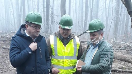 Costel Alexe: La Mediu au fost oamenii unor grupuri de interese care voiau să fure pădurile României/ 112 va fi operațional și la Ministerul Mediului