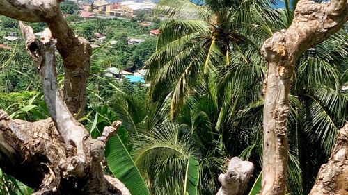 Mii de persoane din Papua Noua Guinee au primit ordine de evacuare din calea alunecării de teren încă ''active''