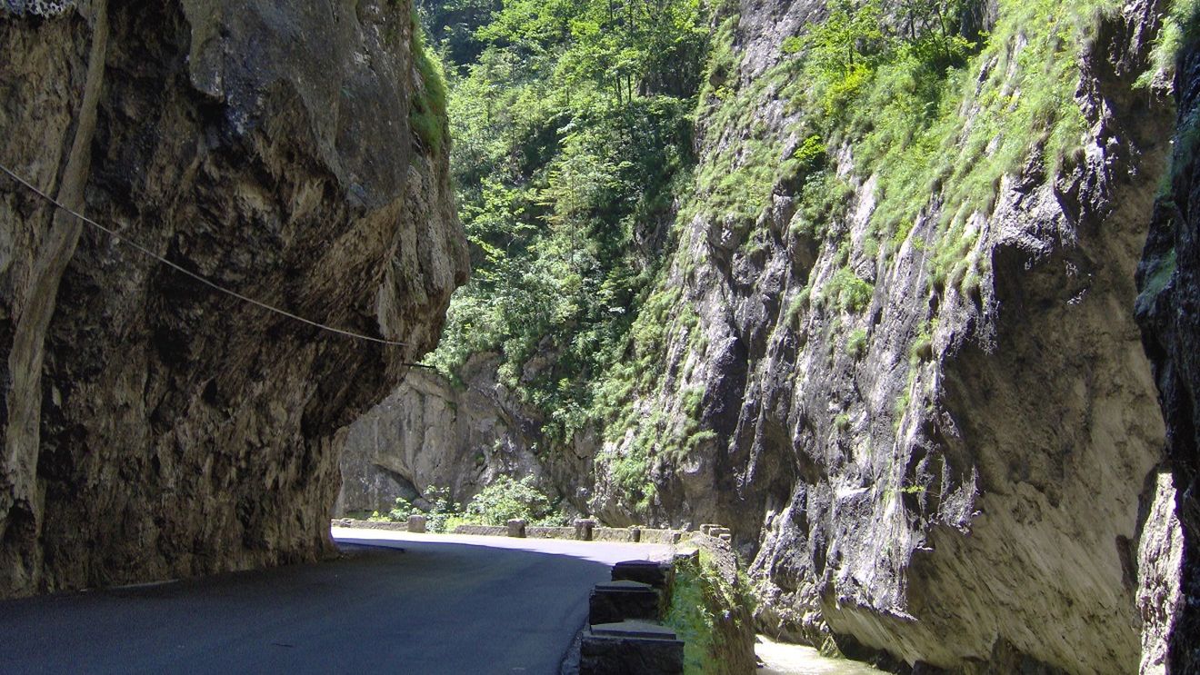 Mesaj RO-Alert după apariţia unui urs lângă o cabană din Cheile Bicazului, o zonă turistică de o frumusețe impresionantă