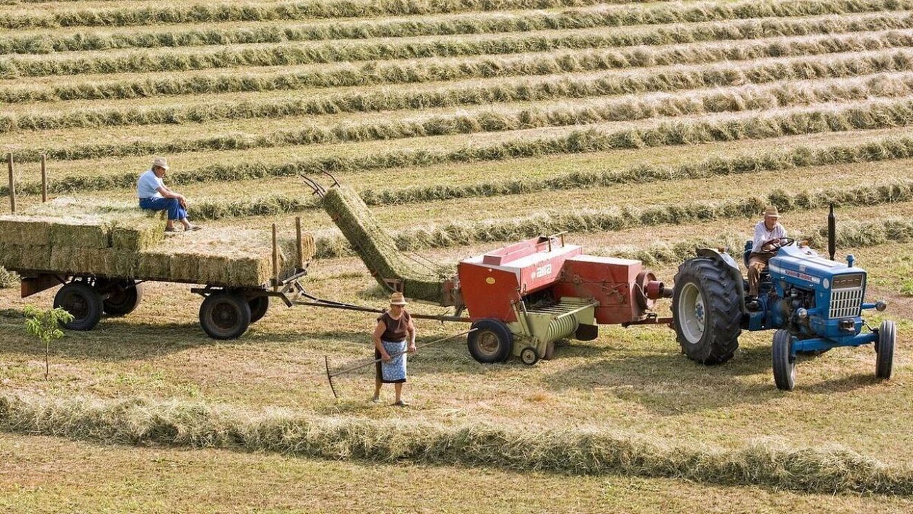 Invazia rusească a provocat sectorului agricol din Ucraina pierderi de 80 miliarde de dolari - analiză