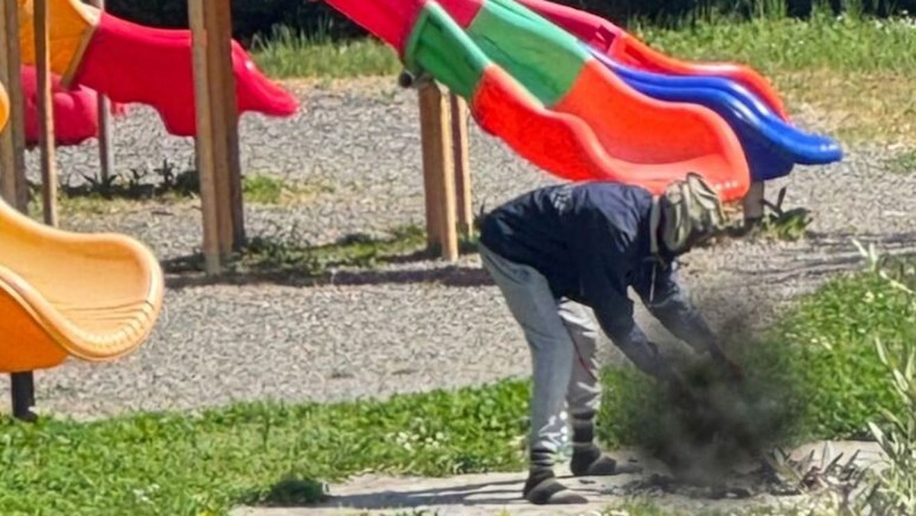 Un nigerian ucide o pisică și o frige pe un grătar, într-un loc de joacă din Italia / ”E un act atroce care nu poate și nu trebuie să-și găsească locul într-o societate civilizată”