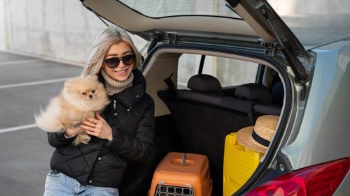 Ce să pui în bagaj când călătorești cu câinele: Ghidul practic de care are nevoie orice iubitor de animale pentru o vacanță fără griji