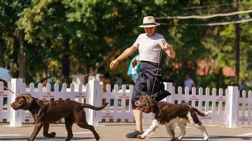 300 de câini din rase pure, aşteptaţi în trei concursuri la Muntenia Dog Show, organizat la Buzău