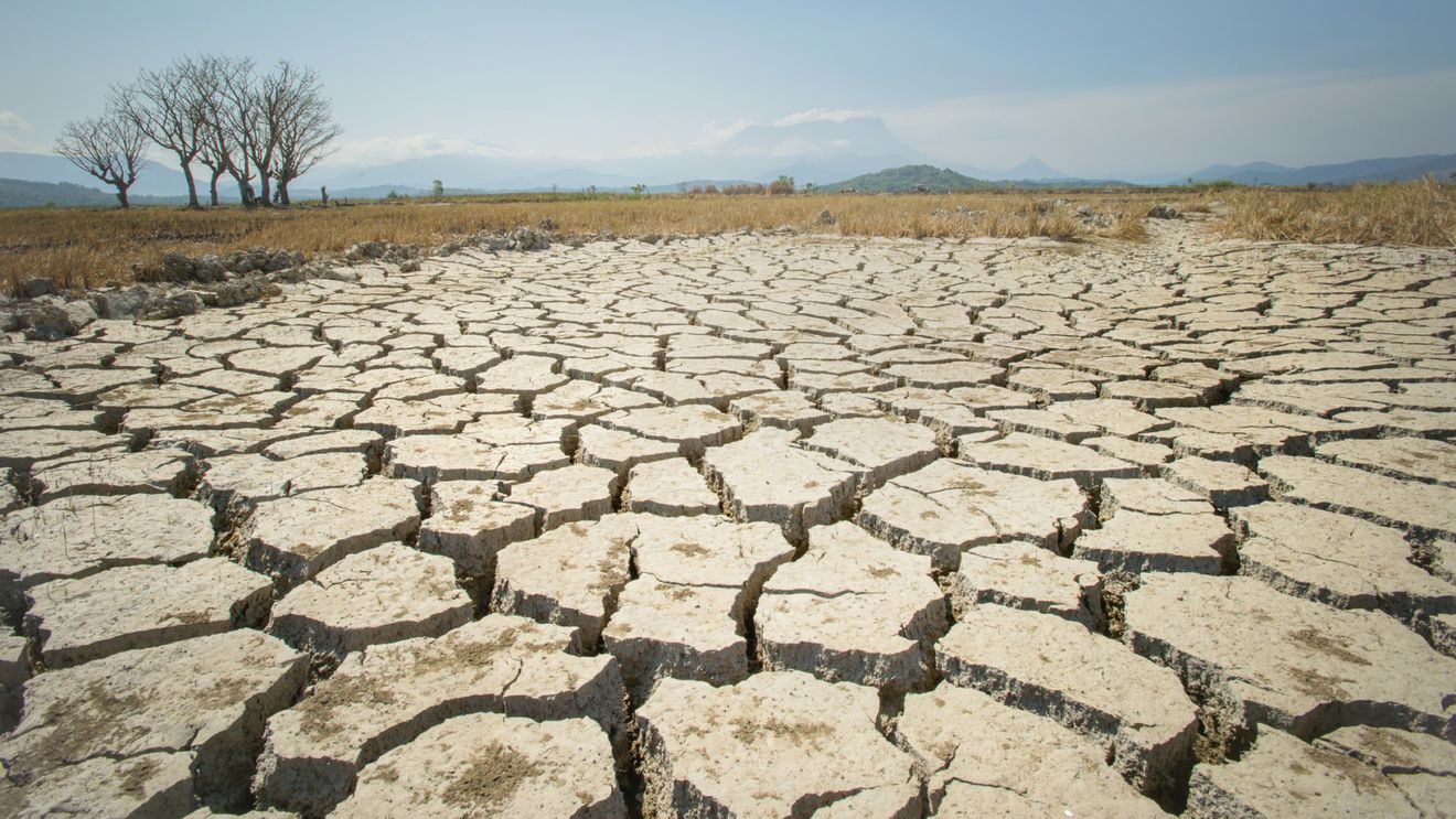 Marea Britanie trebuie să se pregătească urgent pentru temperaturi mai ridicate, avertizează consilierii climatici / Țara nu ar face față fenomenelor meteo extreme