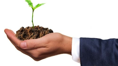 Târg de semințe la Biblioteca Judeţeană din Miercurea Ciuc / Cei care împrumută semințe, trebuie să aducă dublul lor anul viitor / ”Sperăm că dacă vin oamenii să împrumute semințe, împrumută și cărți de grădinărit”