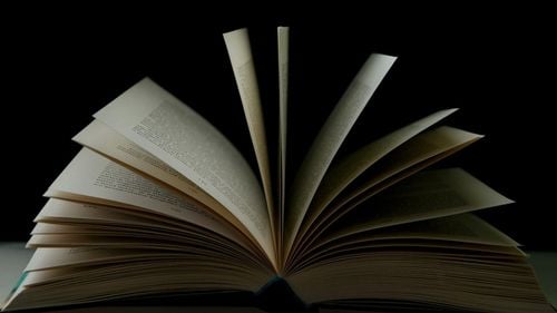 Rareș Bogdan, explicații despre cartea lui Nicolae Ciucă: Am amânat publicarea pentru că s-au mutat alegerile prezidențiale din septembrie în noiembrie