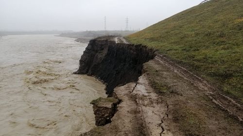 Prahova: Animale, blocate pe o insulă după creşterea nivelului râului Teleajen