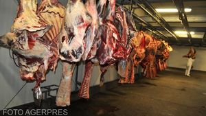 România a încheiat anul 2020 cu un deficit de aproape două miliarde de euro în comerțul cu produse agroalimentare