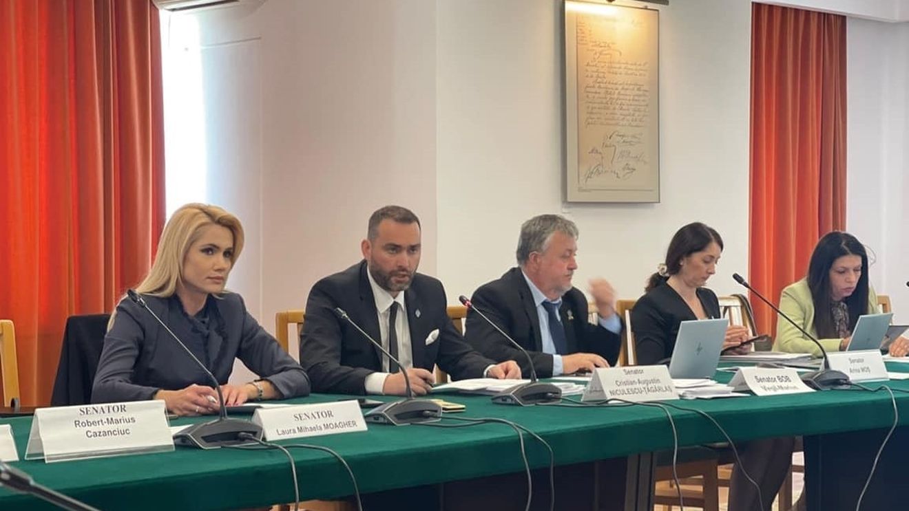 Senatoare PSD: Pragul de 250.000 de lei a fost propus chiar de către ministrul Predoiu și există dovezi incontestabile în acest sens