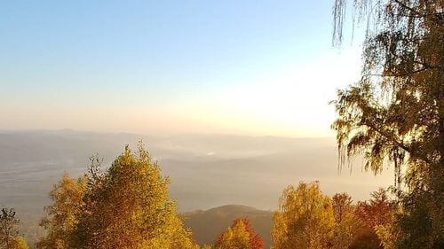 Temperaturile vor scădea, săptămâna viitoare, sub cele obișnuite pentru noiembrie, anunță meteorologii