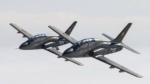 Ministrul Economiei anunță un nou proiect de țară: Un avion militar românesc / Companiile militare de stat sunt incapabile să producă banale măști sanitare sau pistoale