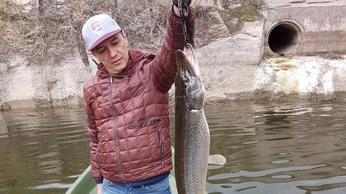 SURSE O parte din liberali nu îl vor pe Sorin Grindeanu în Guvern din cauza OUG 13 / Primele contre cu PSD:  PNL nu vrea cotă progresivă, modificarea PNRR sau creșteri de taxe