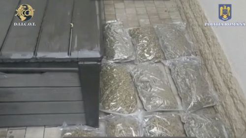 Un bărbat şi o femeie, arestaţi după ce au fost prinşi ridicând un colet cu nouă kilograme de canabis, trimis din Spania printr-o firmă de curierat