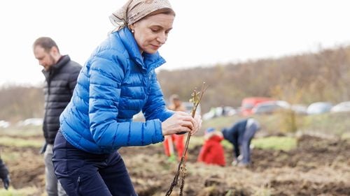 Președinta Republicii Moldova, Maia Sandu, la plantat de puieți în satul Frumuşica, în cadrul campeniei „Generația Pădurii”