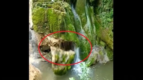 VIDEO Noi imagini cu prăbușirea unui perete de la Cascada Bigăr. Romsilva: A căzut din cauze naturale, nu din pricina păstrăvăriei
