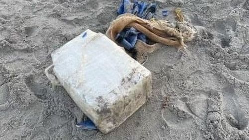 Rechinii din largul coastelor Braziliei au fost testaţi pozitiv la cocaină