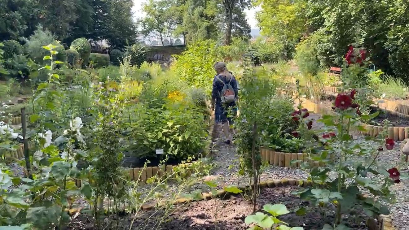 O grădină botanică din Chile renaşte cu ajutorul unor specii rezistente la incendii