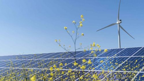 Ce soluție a găsit un fermier american din Iowa să scape de datorii: a montat turbine eoliene pe terenul său agricol