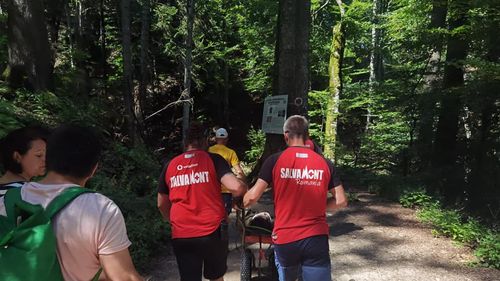 O femeie de 67 de ani, grav accidentată pe traseul dintre staţiunea Buşteni şi Cascada Urlătoarea