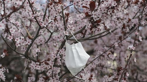 Virgil Popescu anunță că a fost sesizat parchetul în privința măștilor neconforme descoperite pe piața din România