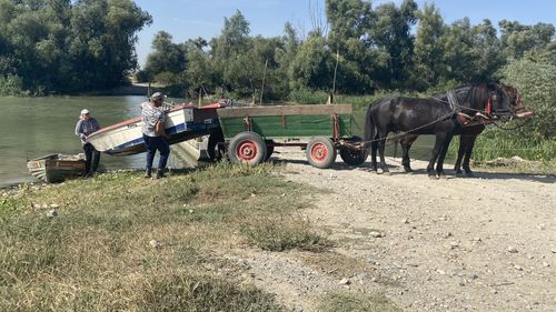 În prag de alegeri prezidențiale, România își pierde busola. Reportaj Le Monde