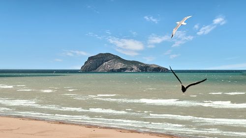 Pescar salvat de la înec de ceasul său non-smart. Era epuizat după 24 de ore petrecute în Ocean