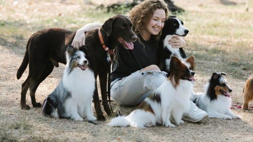 Cum va arăta viața animalelor de companie peste 20 de ani: Stăpânii își doresc o tehnologie care să le permită să comunice cu ele