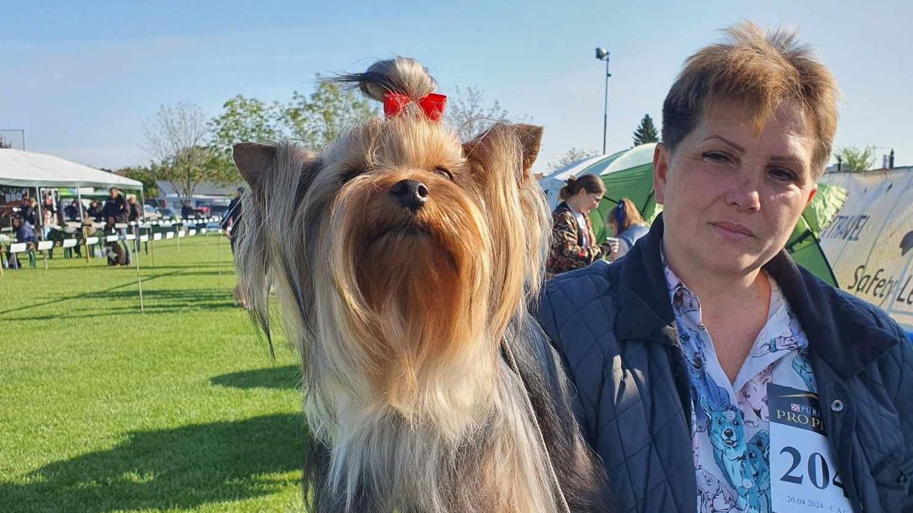 Peste 400 de câini, inclusiv din SUA şi Rusia, la Satu Mare Dog Show