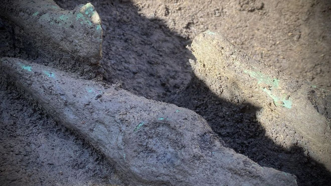 Două topoare întregi de cupru cu brațele în cruce, datând din 4300 - 3900 înaintea erei noastre, descoperite în Mureș / Este primul tezaur eneolitic din județ și al doilea din Transilvania