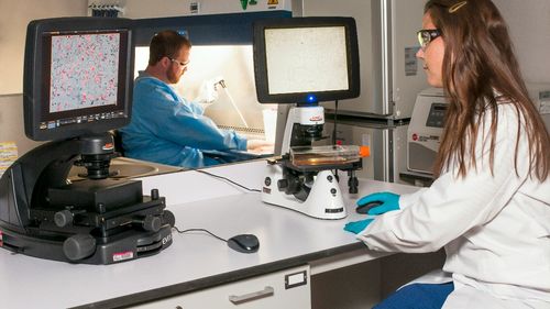 Cum poate inteligența artificială să depisteze boli pe care medicii nici nu le caută