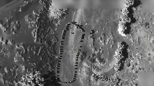 VIDEO Trump publică un clip în care o dronă ar fi ucis un grup de rebeli din Yemen: ”Oops, nu va exista niciun atac din partea acestor houthi”