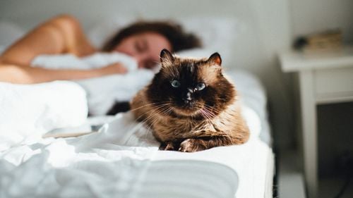 De ce ar trebui să te culci la aceeași oră în fiecare zi a săptămânii