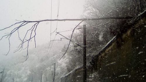 VIDEO Tren blocat de un copac doborât de zăpadă pe ruta Arad - București