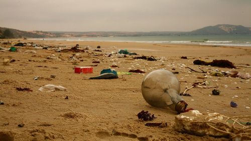 Raport ONU: Poluarea provoacă un număr mai mare de decese decât pandemia de COVID-19