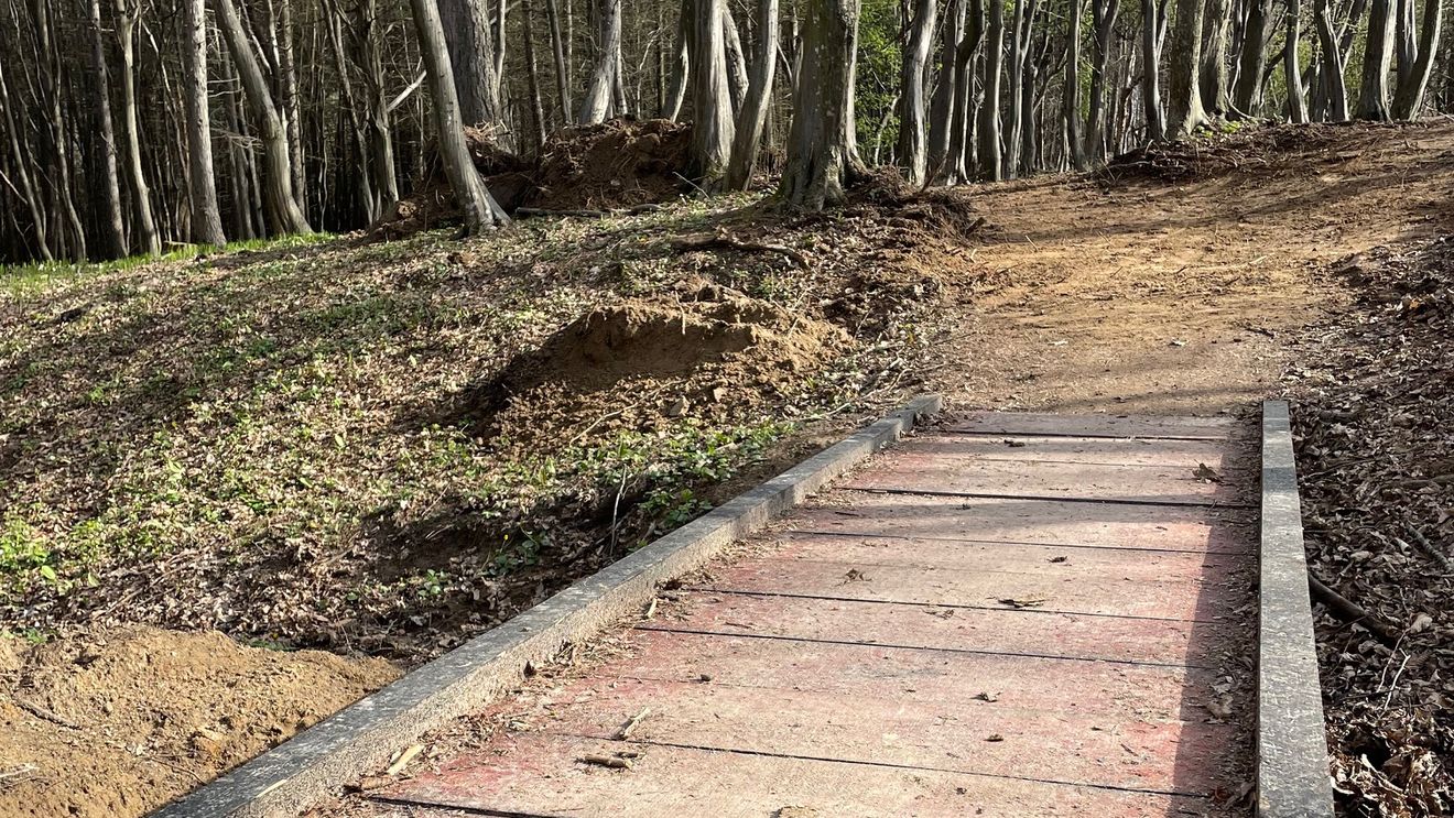 Premieră la Cluj: traseu turistic adaptat persoanelor cu dizabilități, inaugurat în Pădurea Făget / ”Ne dorim ca natura să fie accesibilă fiecăruia”
