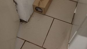 Cantina unui colegiu din Timişoara, închisă temporar de Protecţia Consumatorului / S-au găsit aici şoareci morţi, gândaci de bucătărie, praf şi mucegai