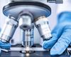 Organizația Mondială a Sănătății anunţă primul studiu clinic al unui medicament antiviral împotriva Ebola