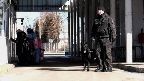 13 bărbaţi ucraineni descoperiţi la frontieră după ce au trecut râul Tisa / Au cerut azil în România