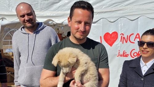 Vicepreşedintele Parlamentului European Nicu Ştefănuţă: Am fost profund şocat să aflu despre uciderea brutală a celor 60 de câini fără stăpân din Târgu Jiu! Voi propune ca procesul de eutanasiere să aibă loc doar la recomandarea medicului veterinar