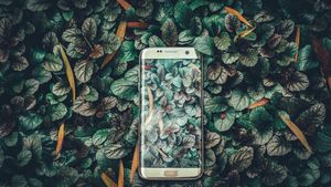 Smartphone-urile ne permit să surprindem natura așa cum nu am mai făcut-o până acum, dar experții avertizează că ne pot induce și în eroare
