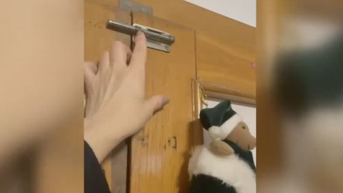 Prefectul de Mureş a emis un ordin pentru verificarea tuturor centrelor rezidenţiale pentru copiii aflaţi în sistemul de protecţie specială din judeţ/ Acţiunea a început deja, la cele patru centre unde copiii erau ţinuţi în condiţii insalubre