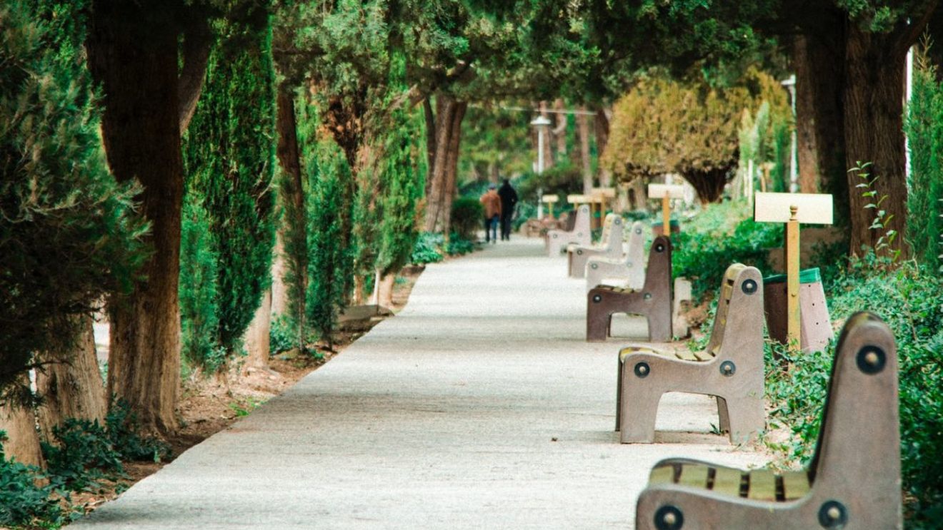 Directorul executiv al Asociaţiei Parcul Natural Văcăreşti, nemulțumit că în București s-au plantat prea mulți platani: Păsărilor nu prea le prea place platanul, pentru că nu au cum să-şi facă cuibul
