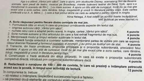 Subiectele integrale de la Limba și literatura română 2019: Genul dramatic, la prima compunere, și prezentarea unei întâmplări petrecute în timpul unei activități de lectură, la ultimul subiect