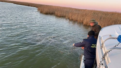 Peste 2000 de controale, în această perioadă de prohibiție pentru pescuit / S-au dat amenzi de 250.000 de lei și s-au confiscat 2,2 tone de pește