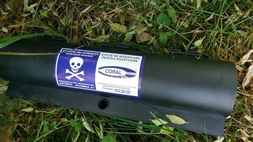 Otravă de șobolani găsită în parcurile Herăstrău, Cișmigiu și Crângași