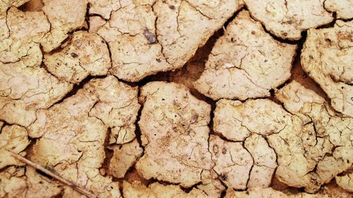 Vicepreședintele Comisiei Europene: Dacă acesta nu este momentul să luamă  măsuri atunci când? Uitați-vă la furtunile cu grindină din Croația, la seceta extremă din Italia, care duce la o penurie îngrozitoare de apă sau la pierderea de pământ tot mai frecventă din Spania