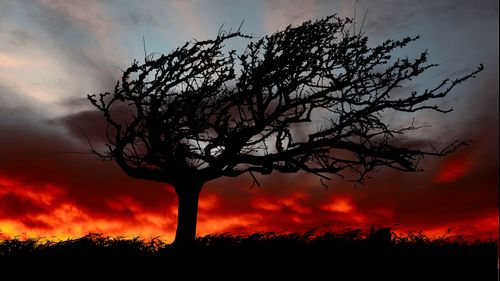 METEO: Cod galben de vânt puternic şi averse în peste jumătate din ţară, până sâmbătă dimineaţa - hartă