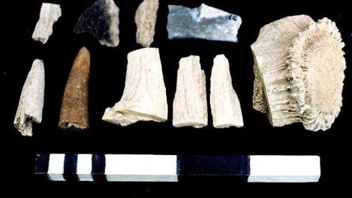 O aşezare dacică specializată în producţia de piepteni din corn de cerb pentru combaterea păduchilor, descoperită de arheologi la Pericei (Sălaj)