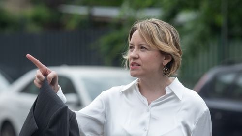 Cosette Chichirău, deputat al Platformei DREPT, a depus un proiect de lege pentru scoaterea Curții Constituționale din procedura de validare a candidaților la alegerile prezidențiale